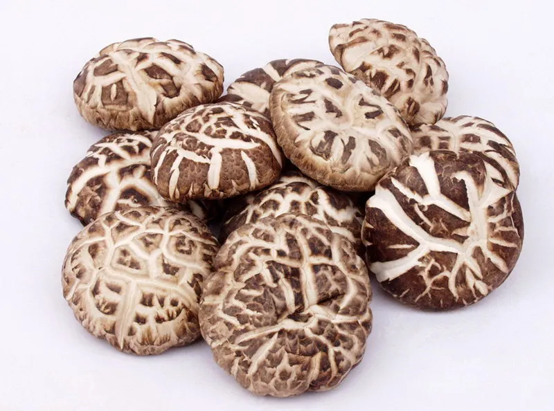 Хит продаж, сухие грибы, грибы шиитаке, грибы оптом