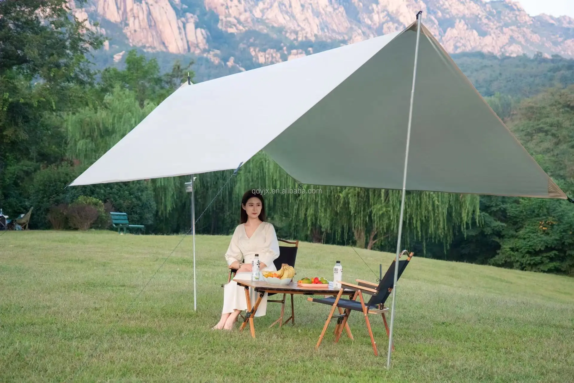 عربة التخييم المنسدلة في الهواء الطلق مع عربة عربة للطفل 17