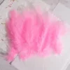 สีชมพูเข้ม