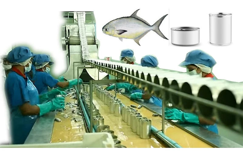Leadworld Fish Meat Cutting Machines Processing Line Packing Machine Sardine Tuna Canned Production Line
