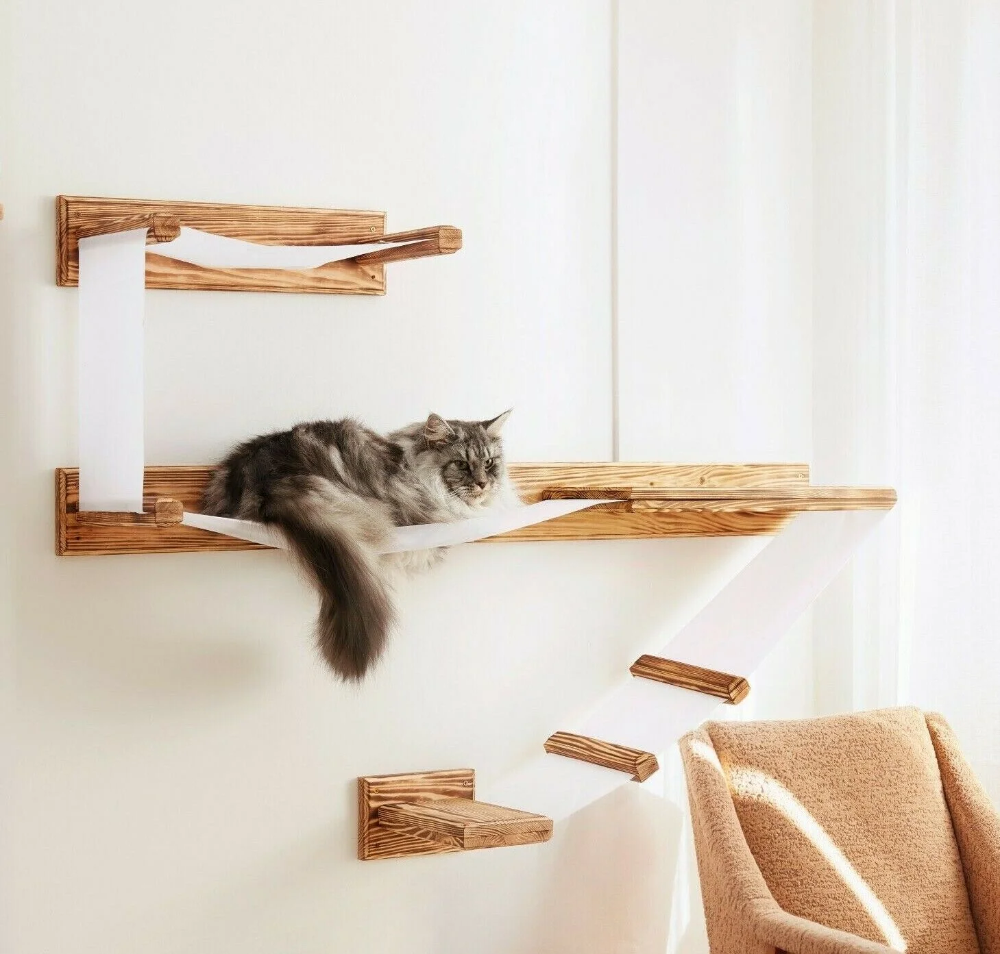 Illustration of Cat Wall Shelves With Hammock And Modern