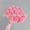 Cherry blossom pink