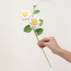White dewwort