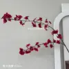 Flores de pera roja