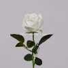 DZ-0008-9