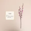 Type b purple
