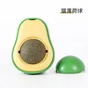Bolas de aguacate y hierba gatera