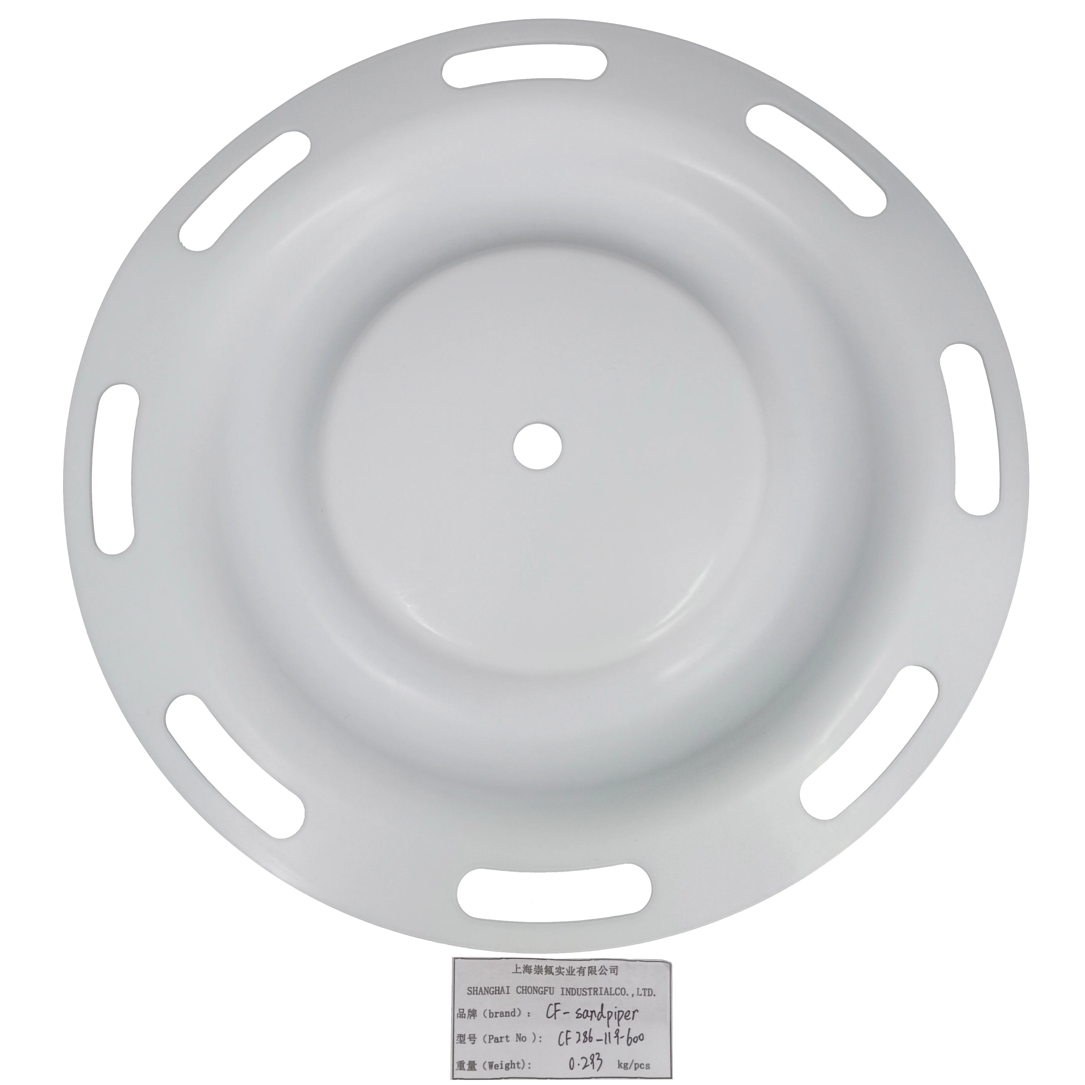 CF286.119.600 PTFE Diaphragm 