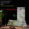 osmanthus