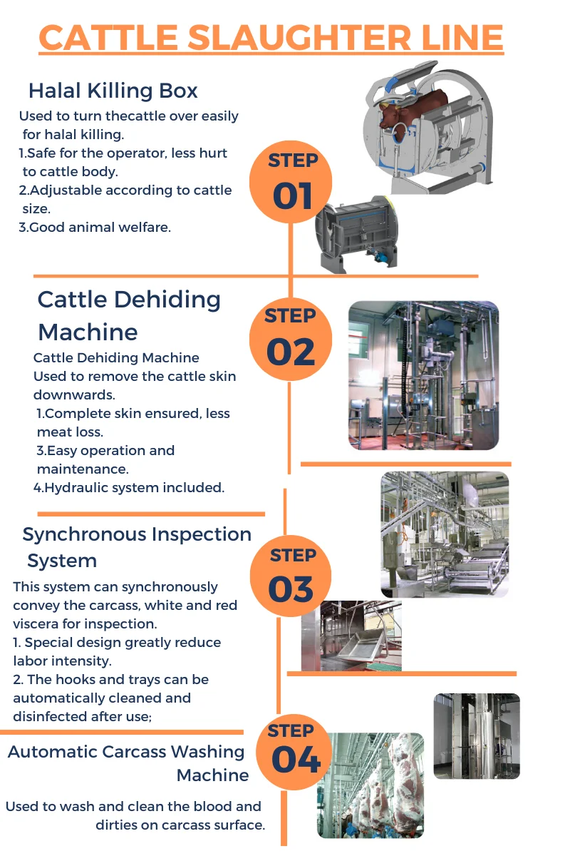 Slaughterhouse design 50-100 cow slaughterhouse meat processing equipment