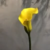 Amarillo