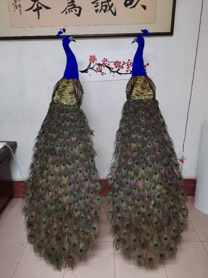 Using Real Feathers  Life Size Foam Peacock for Display