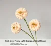 Peonia a mille strati-rosa pallido