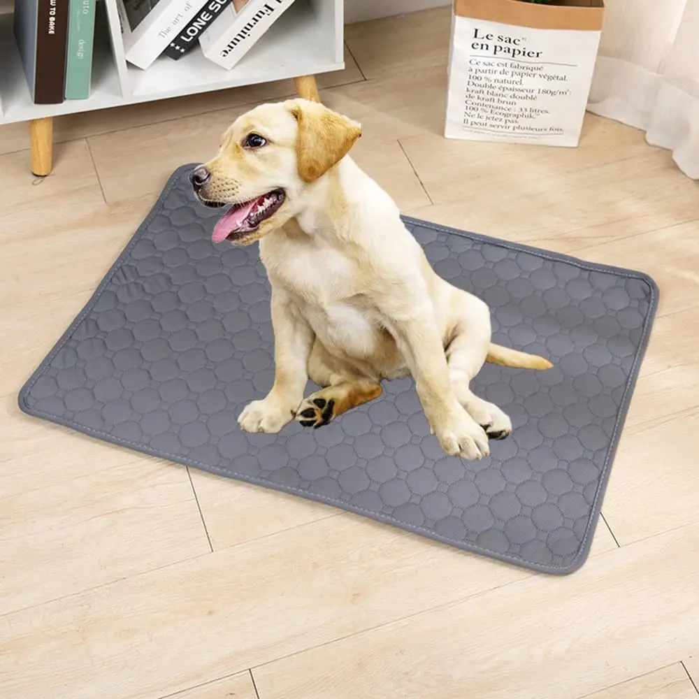 Yikang Reusable Absorbent Pet Training Pads