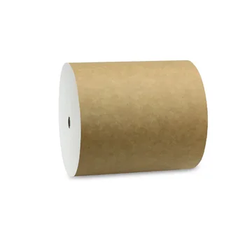 Paper Mill Supplier High quality Coated White Top Kraft Liner in roll