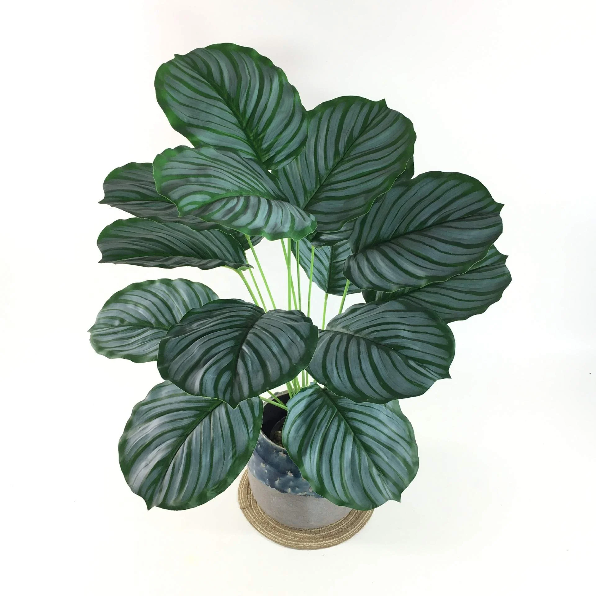 Leaf Calathea Bonsai Simulation Plant - Green Artificial Tree