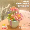 Meat lotus seat 312pcs-exquisite color box