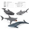 Colorido M6030 - Modelo Biológico Marino 0.035kg