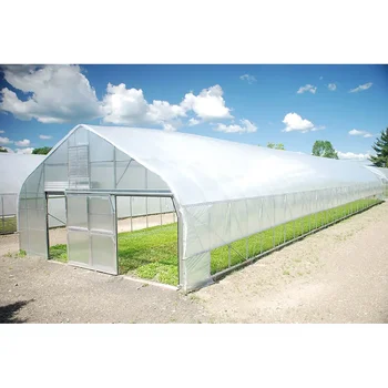 Single Span Polytunnel Tunnel Agricultural Greenhouse