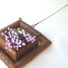 Púrpura
