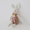 Clothes rabbit