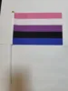 Bandera Genderfluid