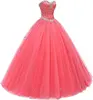 Corail Rouge