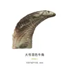 Large mixed-color cow horns