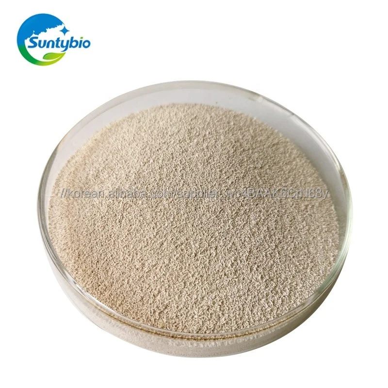 Live Yeast For Animal Feed - Buy Living Yeast Saccharomyces Cerevisiae For Animal  Feed Product on 