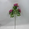 Petite rose rouge clair