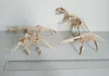 Scheletro di dinosauro assemblato di medie dimensioni