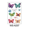 WS-A257    ดับบลิวเอส-เอ257