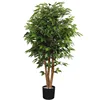 Plante en pot de banian de 1,6 m, pot en plastique