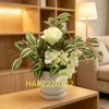 HAPZ220322