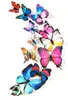 Colorful 3