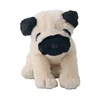 Pug 1