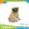 PL127-943 Pug perro 435G