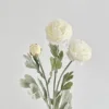 Blanco Verde