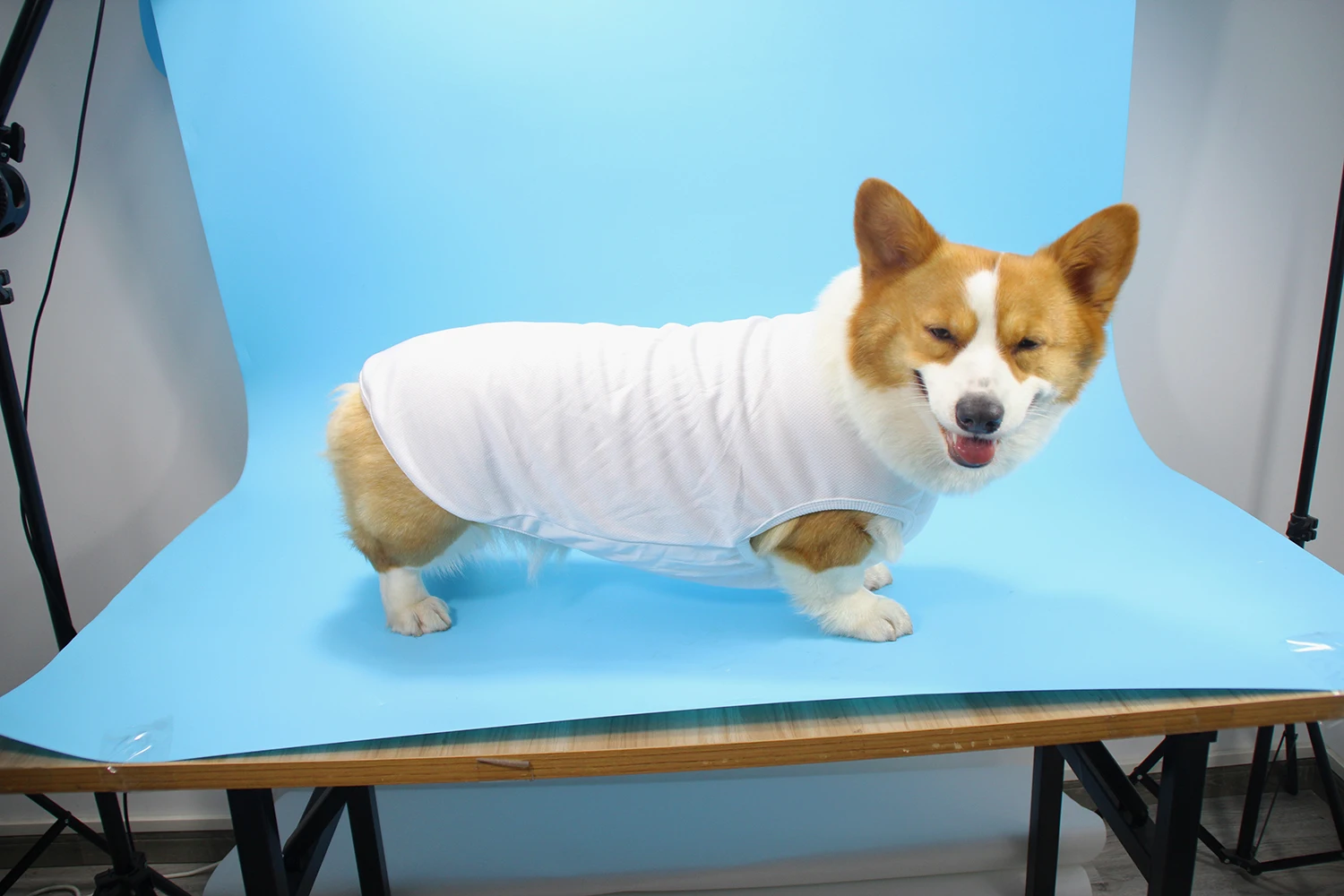 Custom Sublimation Blank Dog Shirts Printable Plain Dog Clothes Polyester Pets Clothes And