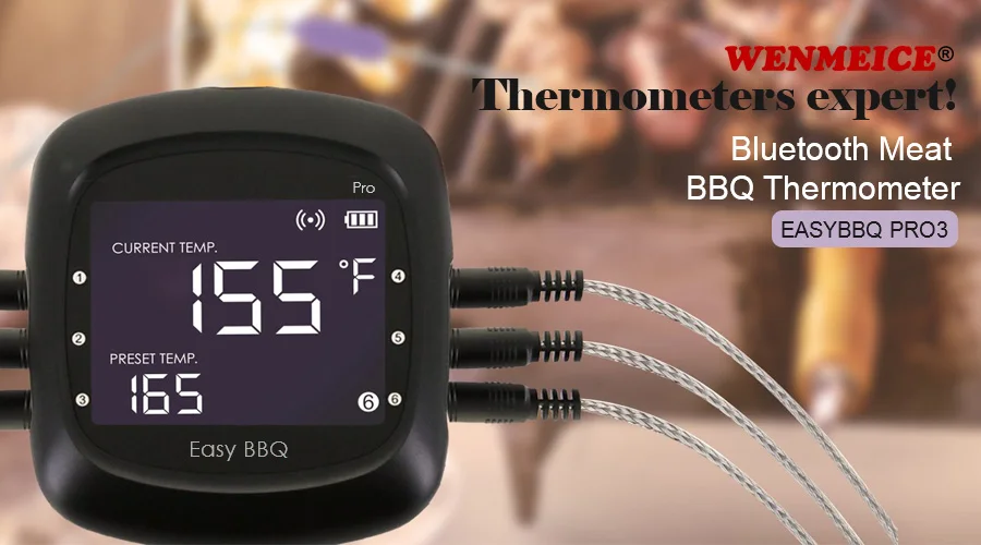 WiFi Meat thermometer Pro03