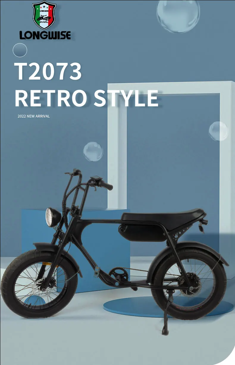 Longwise New Model 2022 Scrambler Ebike 750w Fat Tire Electric Bike Old ...