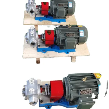 BW Series Stainless Steel Insulated Jacket Gear Pump for Chocolate Honey Food Applications