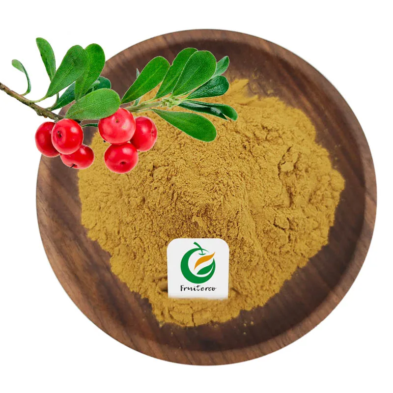 Bearberry Leaf P.e Powder Arbutin 10 Bearberry Leaf Extract Buy Bearberry Leaf Extract Bearberry Extract Powder Alpha Arbutin Bearberry Extract Product on Alibaba