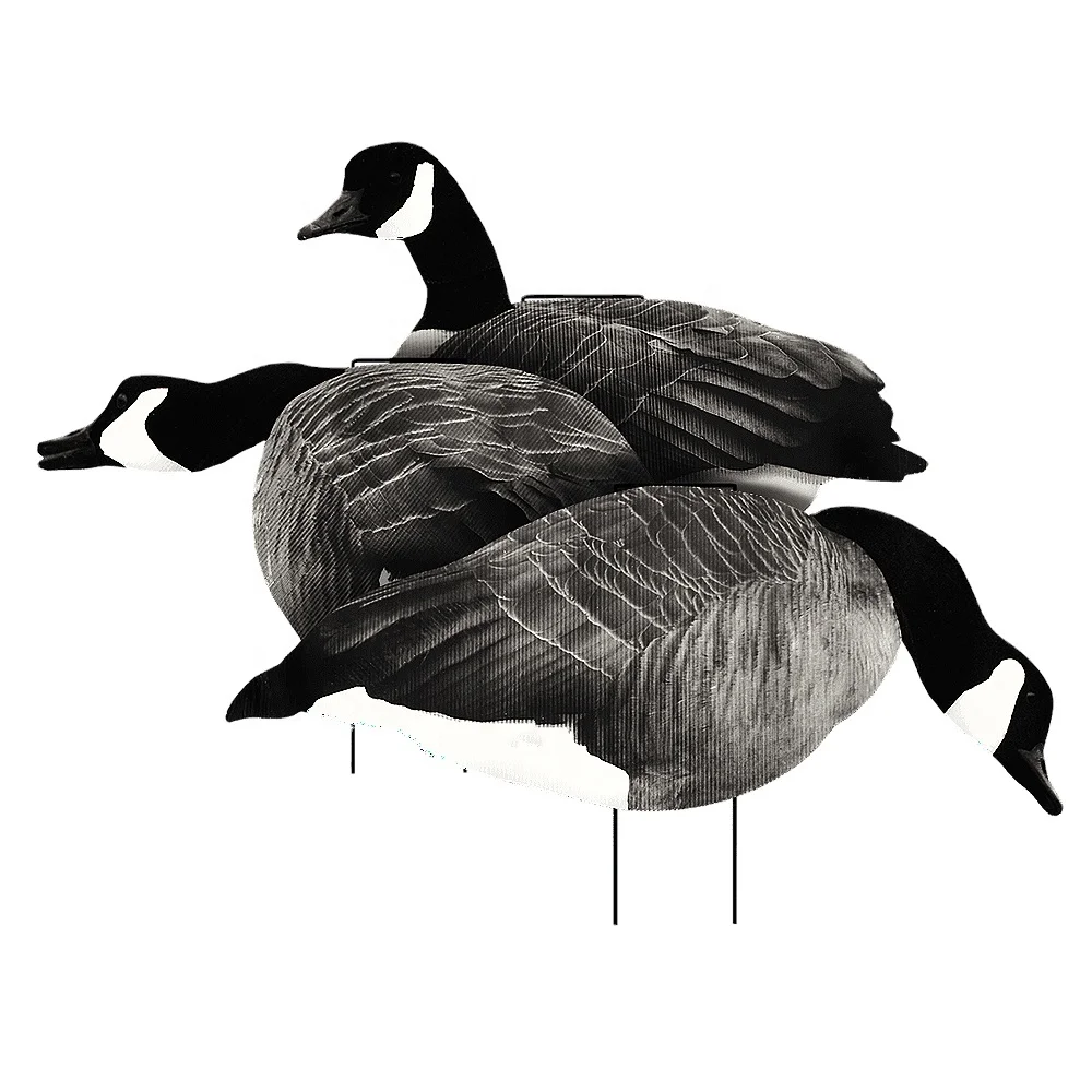 China Silhouettes Goose Decoy Hunting From Xilei Manufacturer