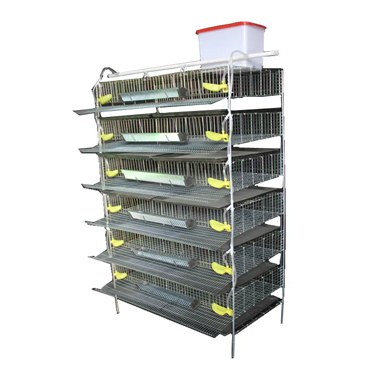 Poultry Quail Equipments Layer Quail Cage With Automatic Feeder - Buy ...