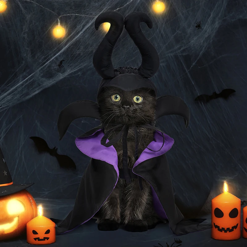 Yoption Halloween-Kostüm Für Hunde & Katzen – Hexen-Skelett-Kleid Mit Kapuze, Größe M (für 3–5 Kg)