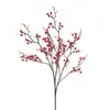 32 frutos de acacia