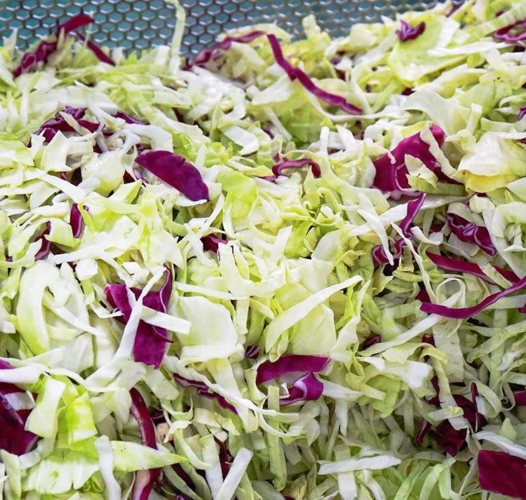 Frutta verdura Lavaggio Lavaggio taglio insalata alimentare linea di  lavorazione - Cina Linea vegetale, linea di produzione