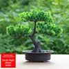 Verde 1
