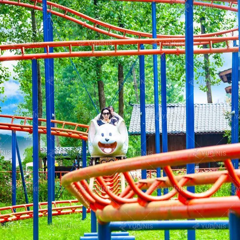 High Quality Factory Price 10 Seats Small Roller Coster Kids and Adults Amusement Fair Attraction Crazy Mouse Roller Coaster